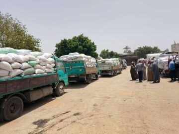 تموين الإسكندرية تعلن توريد 378 ألفا و249 طنا من القمح تموين الإسكندرية تعلن توريد 378 ألفا و249 طنا من القمح