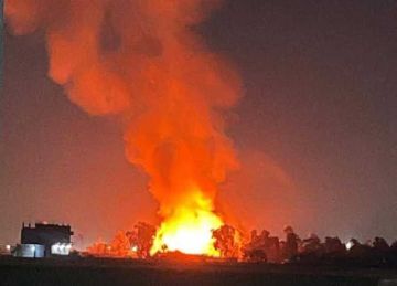 حريق هائل بمصنع ملابس يخلف إصابات كثيرة.. ماذا يحدث في الإسكندرية؟ (بالأسماء)