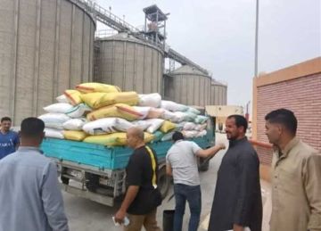 توريد 89 ألف طن قمح لمواقع التخزين في الشرقية