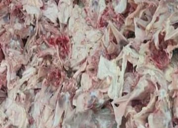 مصادرة 2600 كيلو هياكل دواجن مجهولة المصدر داخل ثلاجة غير مرخصة في الإسكندرية