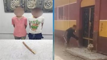 اعترافات متهمين بتعذيب كلب: نشرنا الفيديو لزيادة المتابعين  اعترافات متهمين بتعذيب كلب: نشرنا الفيديو لزيادة المتابعين