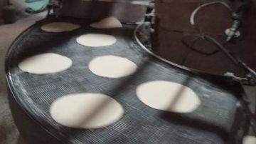 تحرير 67 محضرا ضد مخابز بلدية مخالفة بكفر الشيخ صور