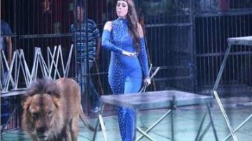 أنوسة كوتة تكشف تفاصيل جديدة عن حادث سيرك طنطا فى بيان رسمي.. تفاصيل