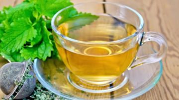 يعالج القلق والاكتئاب ومشاكل الهضم.. لن تتوقع فوائد بلسم الليمون