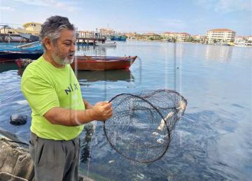  رزقنا اليوم بيومه والمهنة لا تعترف بتقلبات الطقس .. صيادو دمياط يروون تحديات صيد الجوابي