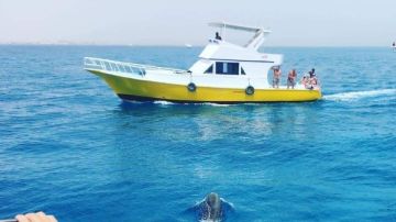 استئناف رحلات الغوص والأنشطة البحرية بالغردقة بعد تحسن الأحوال الجوية