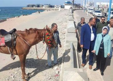 لـ الحفاظ على السور التاريخي .. رئيس حي شرق الإسكندرية تقود حملة مفاجئة لإزالة التعديات بطريق الكورنيش (صور)