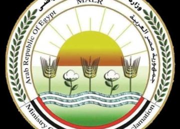 14 مليار بيضة سنويا .. الزراعة تعلن حصاد إنتاج الدواجن في مصر 14 مليار بيضة سنويا .. الزراعة تعلن حصاد إنتاج الدواجن في مصر