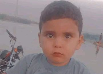  الجنايات تنظر استئناف حكم بالإعدام بحق إمام مسجد أدين بقتل ابن شقيقه في العياط