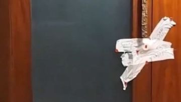 إغلاق مركز تجميل نجلة أصالة.. وغرامة 50 ألف جنيه عقوبة إنشائه دون ترخيص