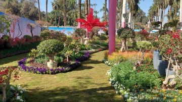 الزراعة: تأجيل افتتاح معرض زهور الربيع بالمتحف الزراعي بالدقي.. تفاصيل