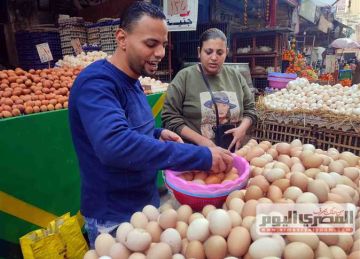 هبوط كبير فى أسعار كرتونة البيض بمطروح اليوم الأحد 13 أبريل 2025