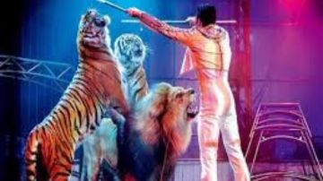 هل كان الأسد جائعا بالفعل.. تفاصيل صادمة عن حادث السيرك