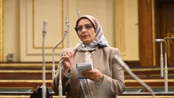 النائبة نجلاء العسيلي: ترامب يشوه الحقائق وقناة السويس إرث سيادي لمصر النائبة نجلاء العسيلي: ترامب يشوه الحقائق وقناة السويس إرث سيادي لمصر