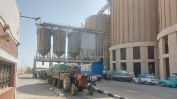 محافظ أسيوط: توريد 113 ألف طن قمح حتى الآن محافظ أسيوط: توريد 113 ألف طن قمح حتى الآن