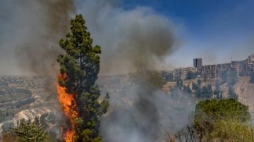 الحرائق تلتهم إسرائيل.. حكومة الاحتلال تدفع بفرق الإطفاء وطائرات لمواجهة النيران الحرائق تلتهم إسرائيل.. حكومة الاحتلال تدفع بفرق الإطفاء وطائرات لمواجهة النيران