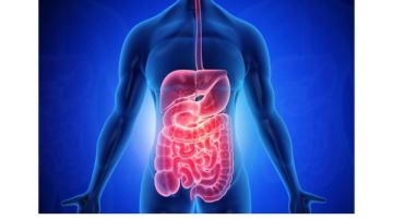 في اليوم العالمي لصحة الجهاز الهضمي .. نصائح ذهبية لحماية معدتك