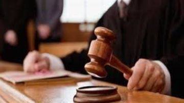 تأجيل محاكمة 17 متهما بقضية خلية العجوزة الثانية لجلسة 28 مايو تأجيل محاكمة 17 متهما بقضية خلية العجوزة الثانية لجلسة 28 مايو