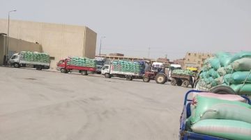 توريد 408 آلاف طن من القمح بشون وصوامع المنيا