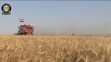 جهود حكومية متواصلة لتأمين المخزون الإستراتيجي للقمح وتيسير إجراءات توريده جهود حكومية متواصلة لتأمين المخزون الإستراتيجي للقمح وتيسير إجراءات توريده