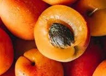  هذا ما يفعله المشمش بجسمك .. وهؤلاء ممنوعون من تناوله