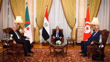 توافق مصري تونسي جزائري على أولوية إجراء انتخابات رئاسية وبرلمانية بالتزامن في ليبيا
