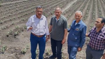 محافظ الشرقية: الندوات الإرشادية ركيزة لتنمية الزراعة وزيادة الإنتاج