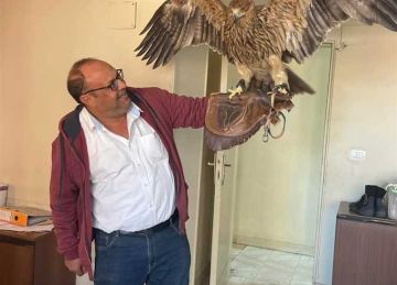 الباحث البيئي عبدالله عابد مديرا لمحمية الجزر الشمالية بالبحر الأحمر الباحث البيئي عبدالله عابد مديرا لمحمية الجزر الشمالية بالبحر الأحمر