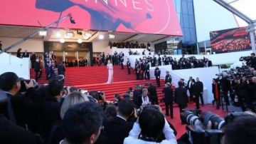 الليلة.. ختام مهرجان كان السينمائي وإعلان الفائز بالسعفة الذهبية الليلة.. ختام مهرجان كان السينمائي وإعلان الفائز بالسعفة الذهبية