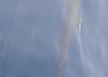 رصد سمكة قرش بيبي تايجر قرب جزيرة الجفتون بالغردقة رصد سمكة قرش بيبي تايجر قرب جزيرة الجفتون بالغردقة