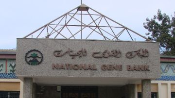 البنك القومي للجينات يعلن انطلاق موقعه الإلكتروني على شبكة الإنترنت