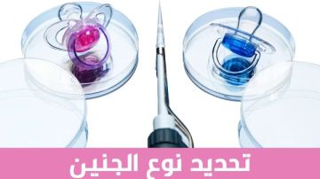 حكم تحديد نوع الجنين خلال عملية حقن مجهرى.. الإفتاء توضح الضوابط الشرعية