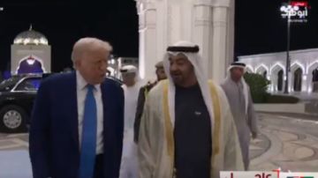 شاهد الرئيس الإماراتي يستقبل ترامب في قصر الوطن بأبوظبي