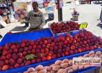 أسعار الفاكهة في أسواق الإسكندرية اليوم السبت 17 مايو 2025 أسعار الفاكهة في أسواق الإسكندرية اليوم السبت 17 مايو 2025