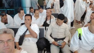 انطلاق أول أفواج بعثة الأطباء البيطريين للإشراف على الهدي والأضاحي بموسم الحج انطلاق أول أفواج بعثة الأطباء البيطريين للإشراف على الهدي والأضاحي بموسم الحج