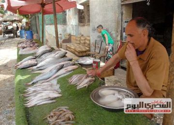 أسعار الأسماك والمأكولات البحرية بسوق العبور اليوم الخميس (جملة)