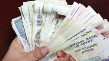 صرف 2000 جنيه مكافأة لكل موظف قبل العيد.. مفاجأة للعاملين بهذه الجهة الحكومية