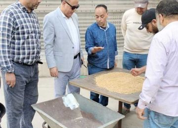 توريد أكثر من 233 ألف طن من القمح في الوادي الجديد