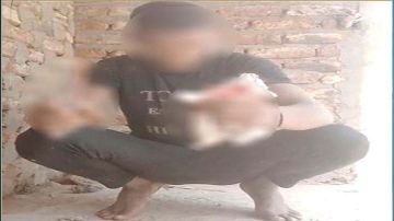 مصر.. فيديو اعتداء على هرة بسلاح أبيض يثير تفاعلا والأمن يرد مصر.. فيديو اعتداء على هرة بسلاح أبيض يثير تفاعلا والأمن يرد