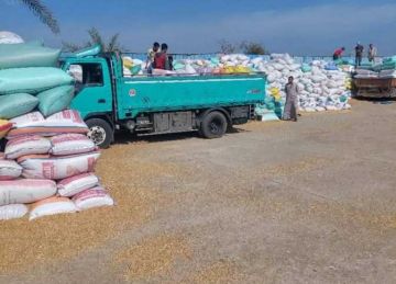 توريد 560 ألف طن قمح لمواقع التخزين في الشرقية منذ بداية الموسم
