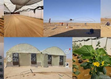 ضمن مشروع الـ 1.5 مليون فدان.. أكاديمية البحث العلمي تطلق المرحلة الثانية من المزرعة النموذجية بـ المغرة ضمن مشروع الـ 1.5 مليون فدان.. أكاديمية البحث العلمي تطلق المرحلة الثانية من المزرعة النموذجية بـ المغرة