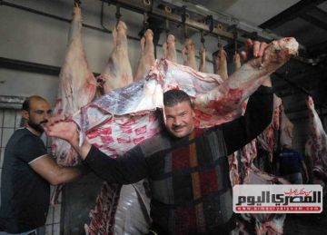 3 مجازر بالإسكندرية تستعد لعيد الأضحى 2025 بـ زجاجات أحبار وسعات 100 رأس في الساعة (صور)