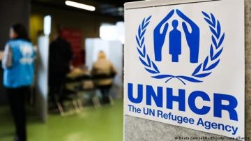 72 سودانيين.. مفوضية الأمم المتحدة لـ اللاجئين تكشف الأعداد المسجلة لديها في مصر