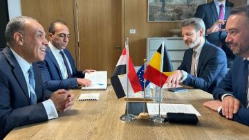 مصر وبلجيكا نحو شراكة أوسع .. تعاون استراتيجي في الاستثمار والطاقة ودعم غزة واستعادة الآثار