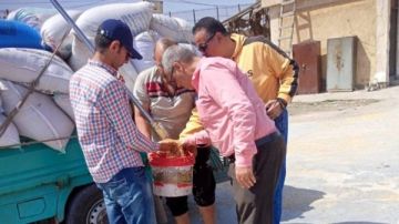 المواقع التخزينية بالشرقية تستقبل 368552 طن قمح