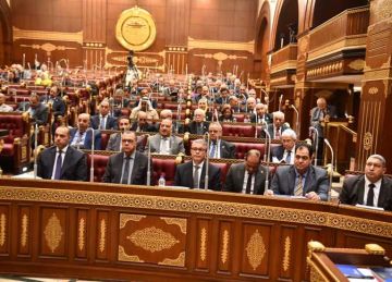 بعد قضية طفل البحيرة.. نائبة تطالب بعقد جلسة برلمانية للوقوف على دور القومي للطفولة في الأزمة