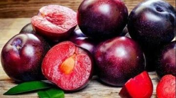 فوائد سحرية.. ماذا يحدث للجسم عند تناول البرقوق؟ فوائد سحرية.. ماذا يحدث للجسم عند تناول البرقوق؟