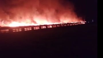 حريق يلتهم مزرعة دواجن ببني سويف.. والحماية المدنية تنجح في السيطرة دون خسائر بشرية