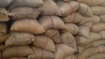 سلامة الغذاء: جولات ميدانية لمتابعة موسم توريد القمح المحلي