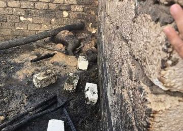 نفوق 2000 فرخ .. إخماد حريق بحظيرة دواجن في المنيا